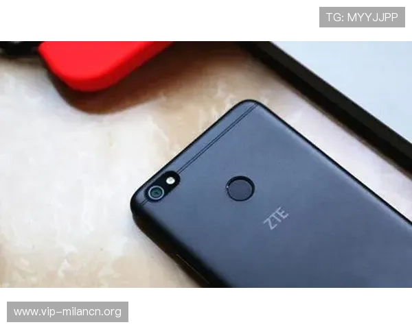 欧博登陆界面优化设计提升用户操作便捷性与视觉体验